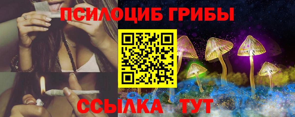 Коряжма  Псилоцибиновые грибы GOLDEN TEACHER  Галлюциногенные грибы Magic Shrooms  Вход с VPN 